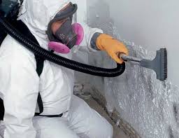 Best Attic Mold Removal  in Houston, MO